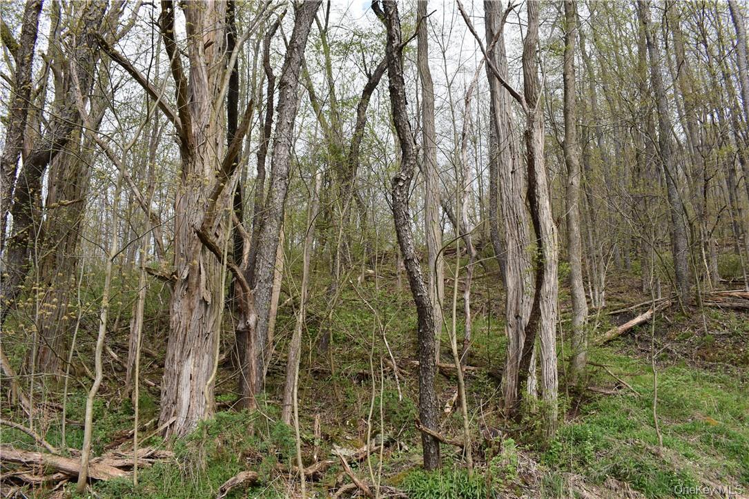 29735 State Highway 10 Property Photo 11