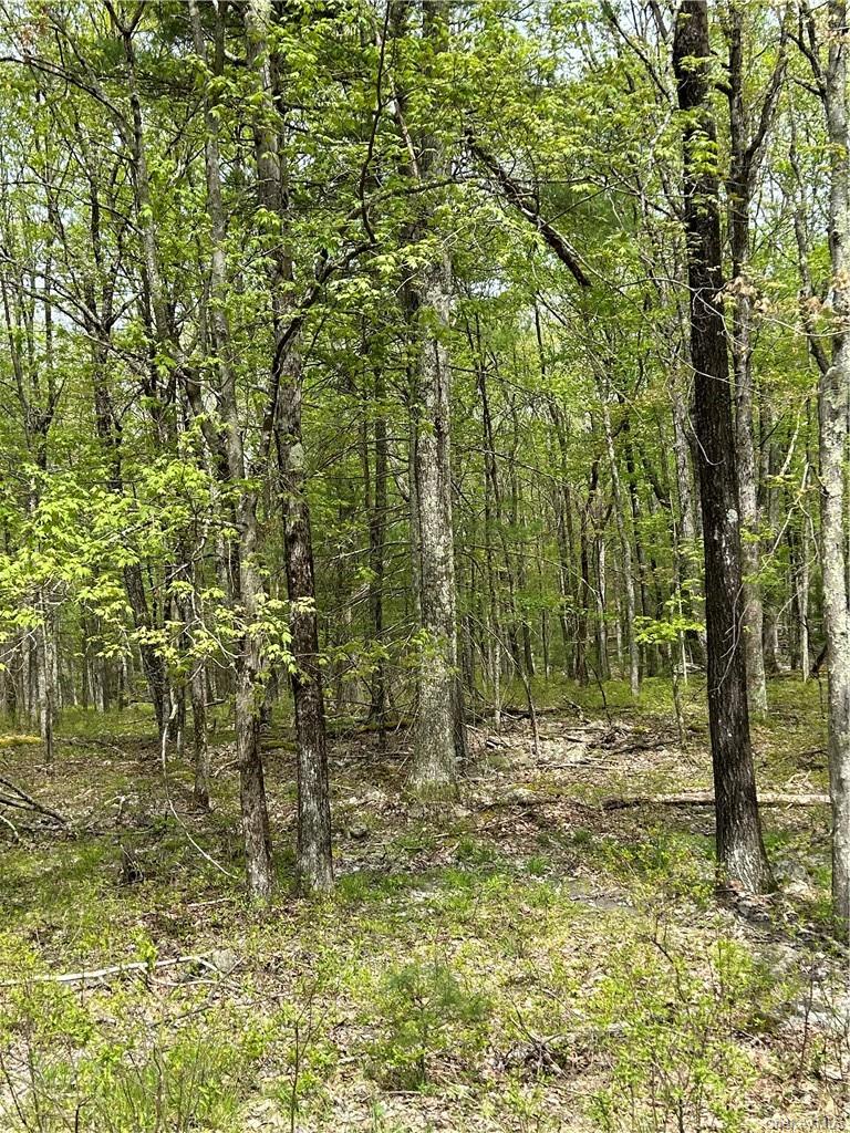 Split Rock Drive Property Photo 1