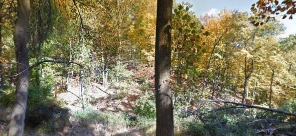16 Hudson View Drive Property Photo 1