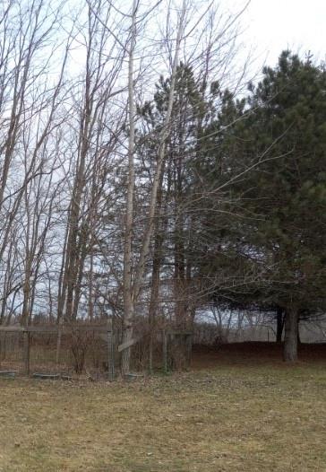 Ingalside Road Property Photo