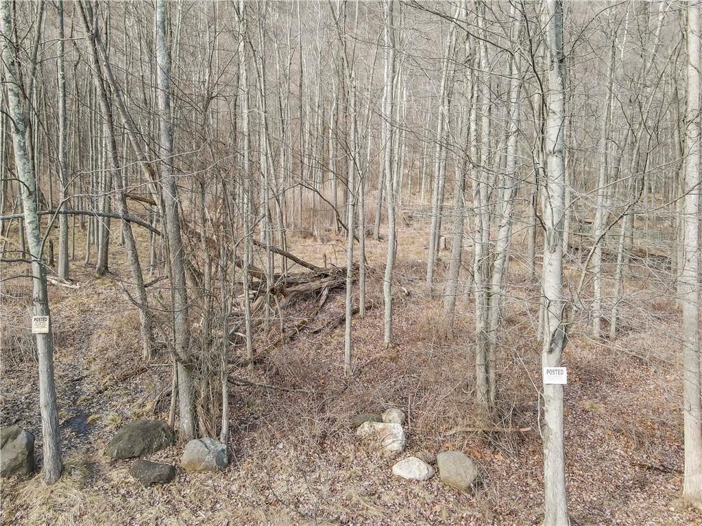 1 Badi Drive Property Photo 21