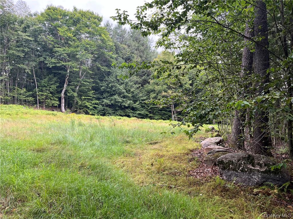34 Black Bear Crossing Property Photo 1