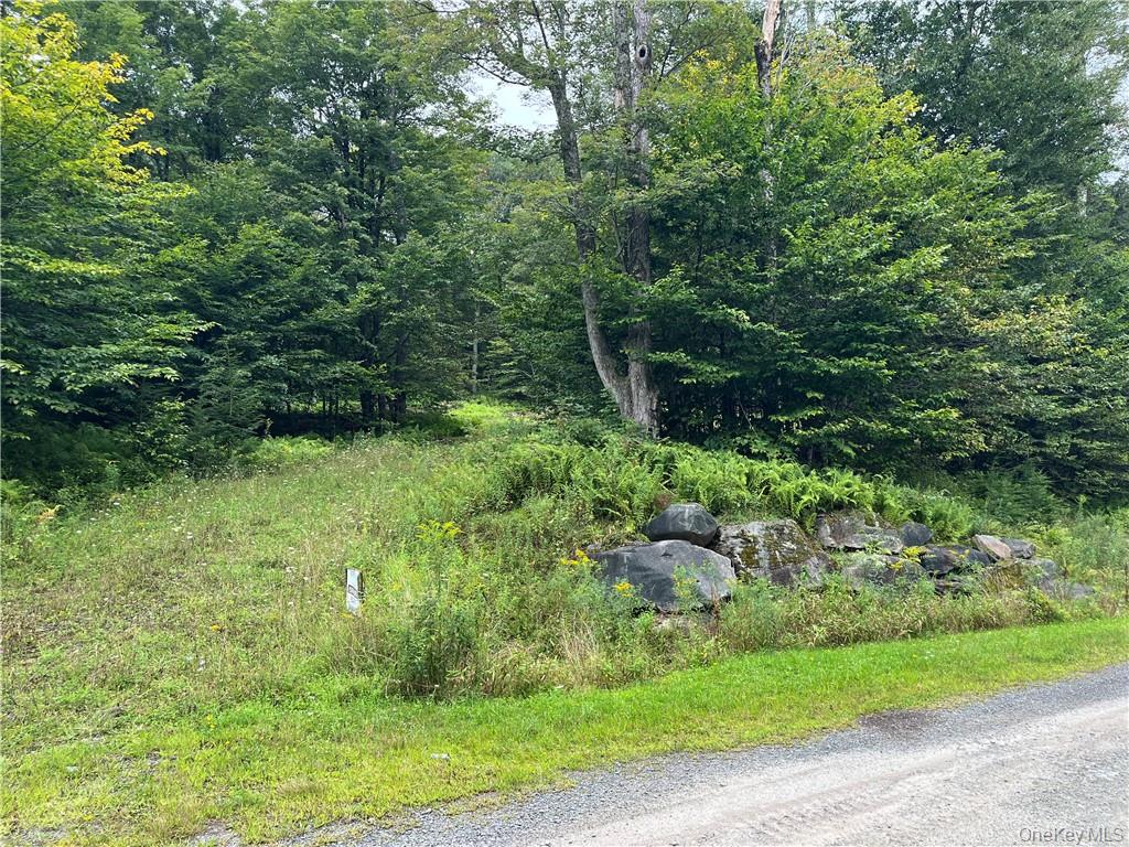 34 Black Bear Crossing Property Photo 3