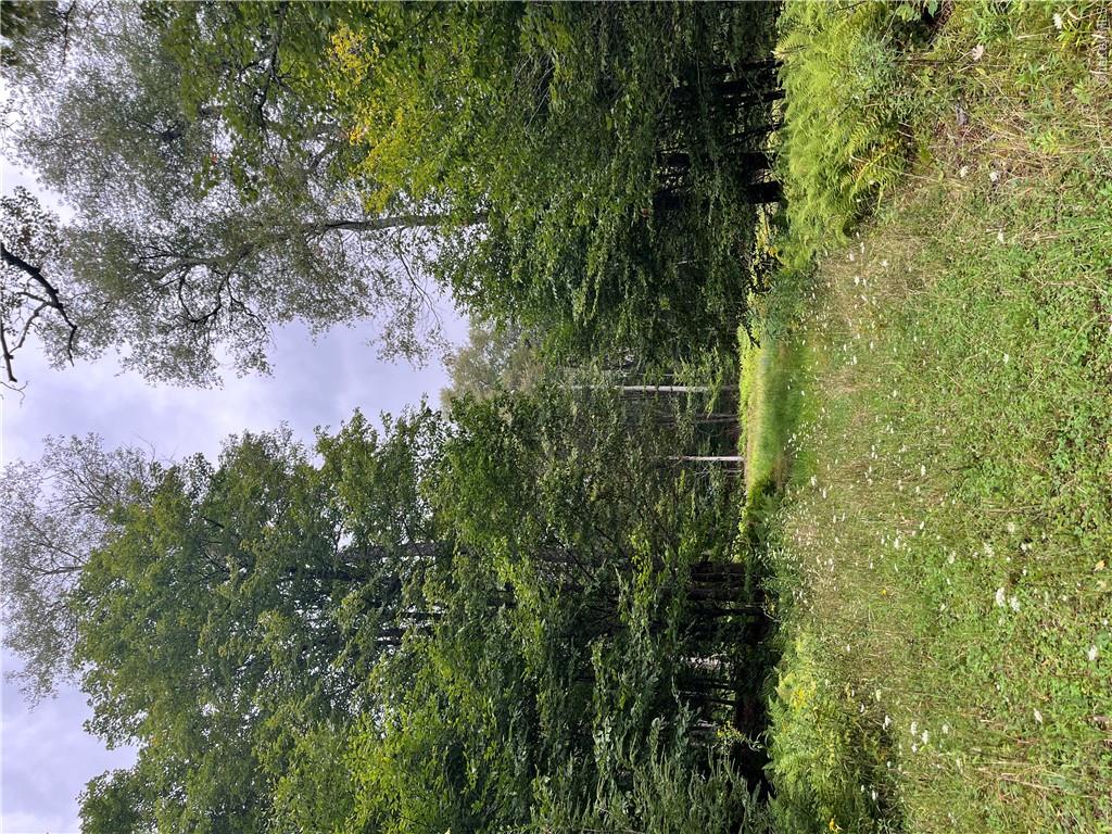 34 Black Bear Crossing Property Photo 5