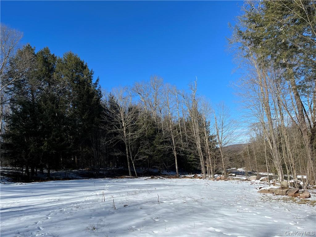 34 Black Bear Crossing Property Photo 7