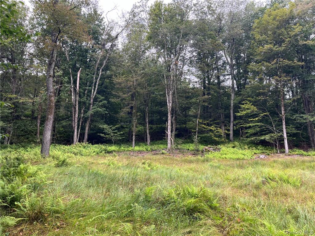 34 Black Bear Crossing Property Photo 11