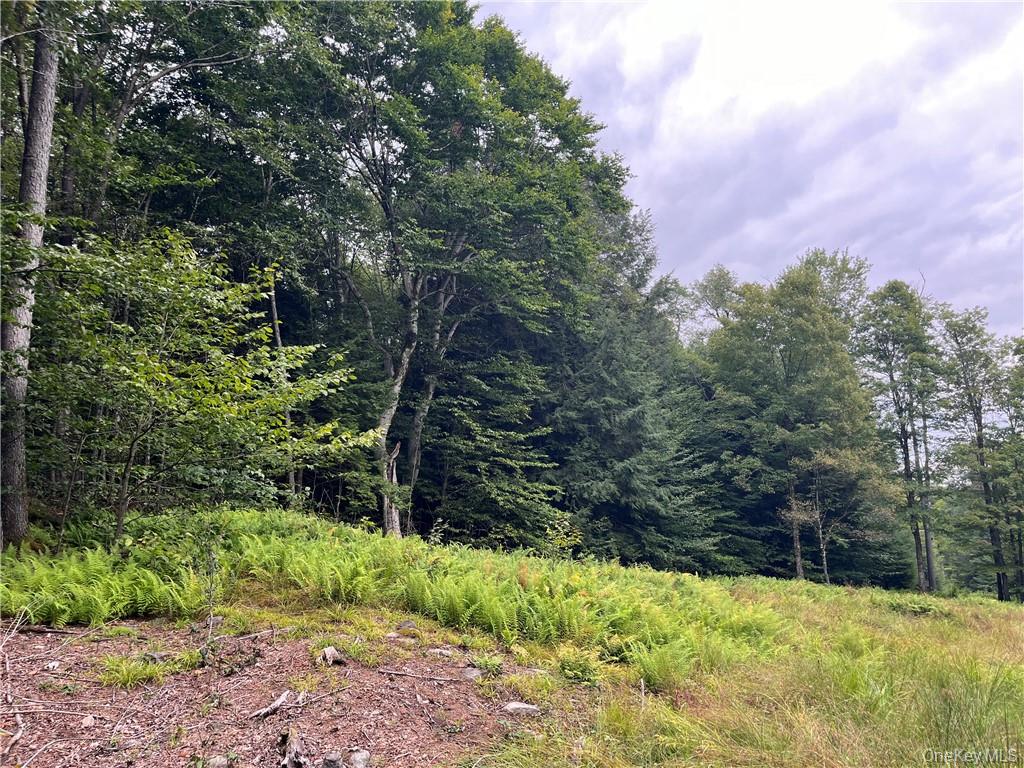 34 Black Bear Crossing Property Photo 12