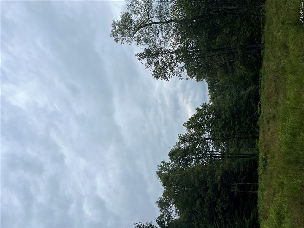 34 Black Bear Crossing Property Photo 13