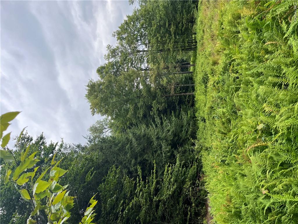 34 Black Bear Crossing Property Photo 14