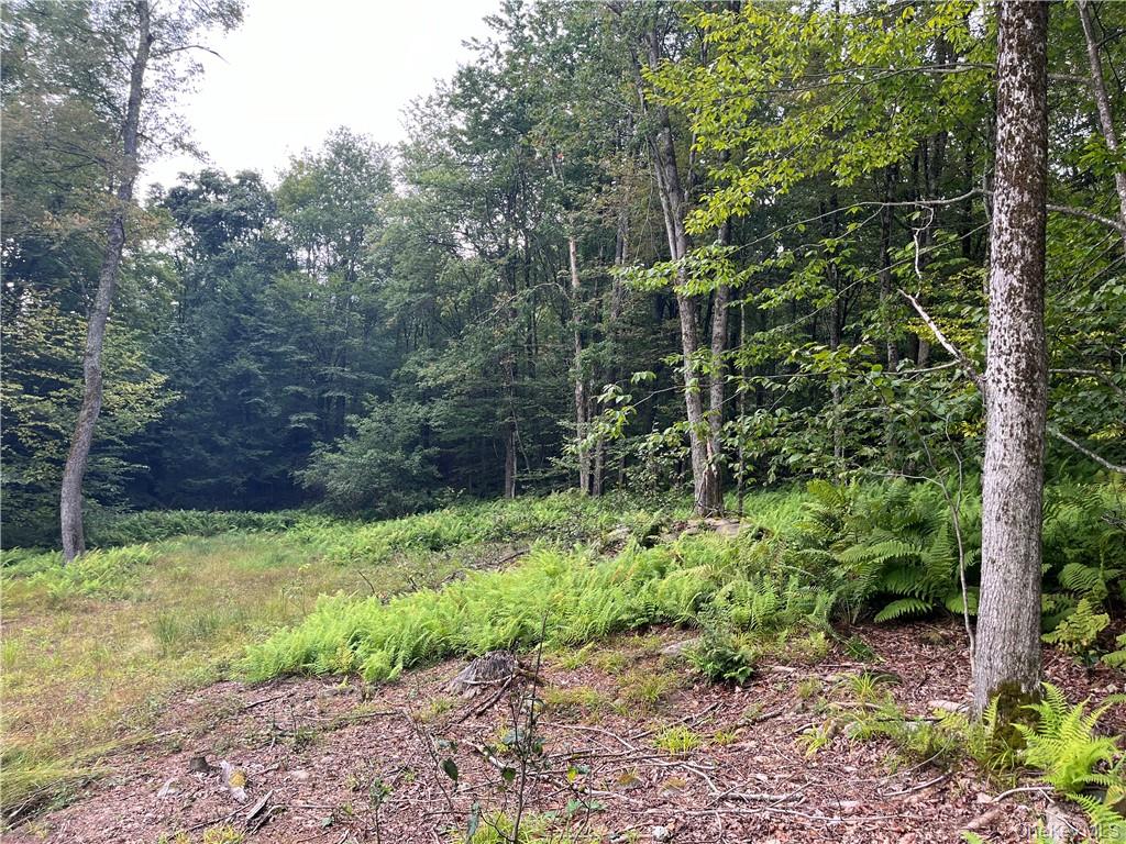 34 Black Bear Crossing Property Photo 15