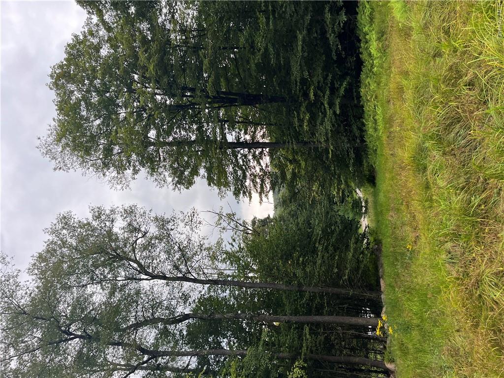 34 Black Bear Crossing Property Photo 16