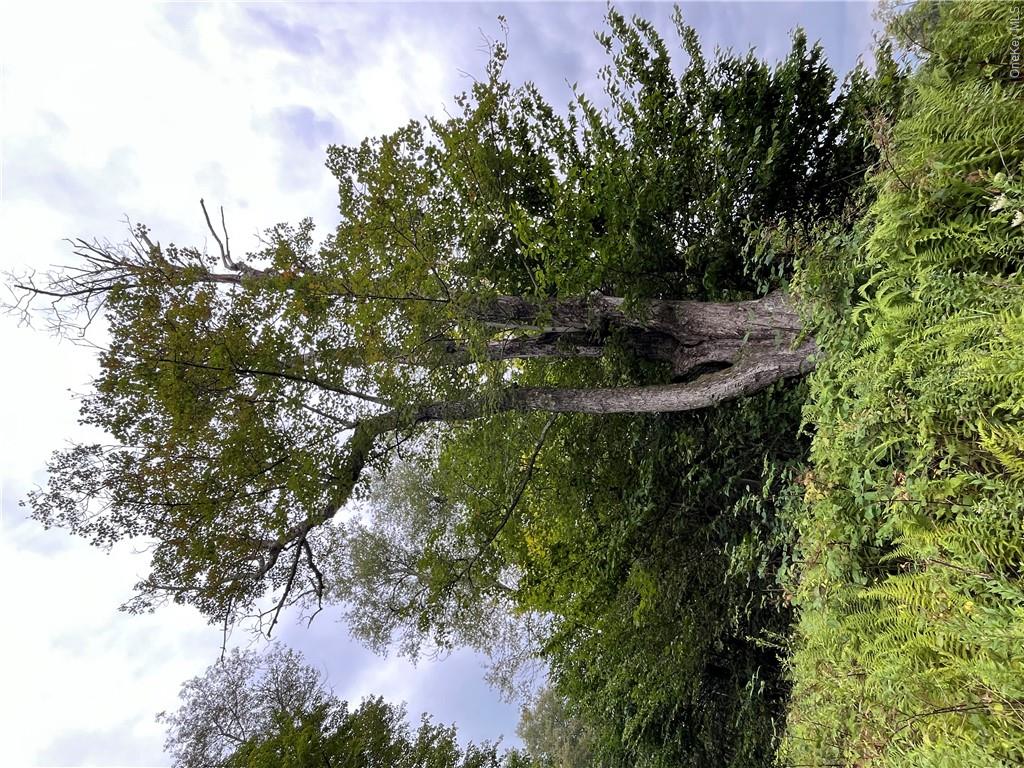 34 Black Bear Crossing Property Photo 17