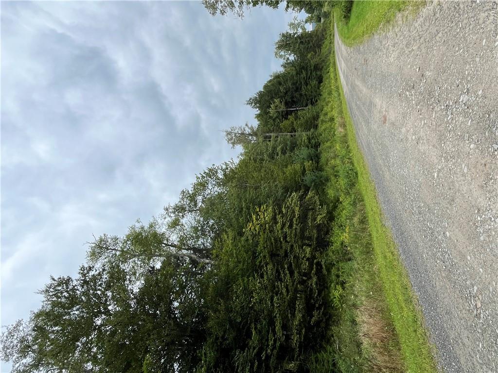34 Black Bear Crossing Property Photo 18