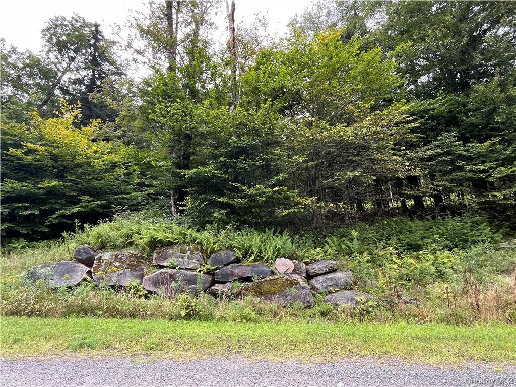 34 Black Bear Crossing Property Photo 19