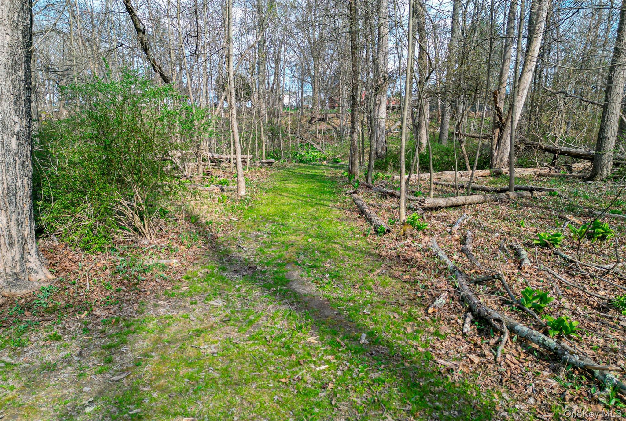 1543 Route 208 Property Photo 19