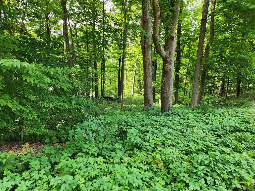 Rambler Road Property Photo 1