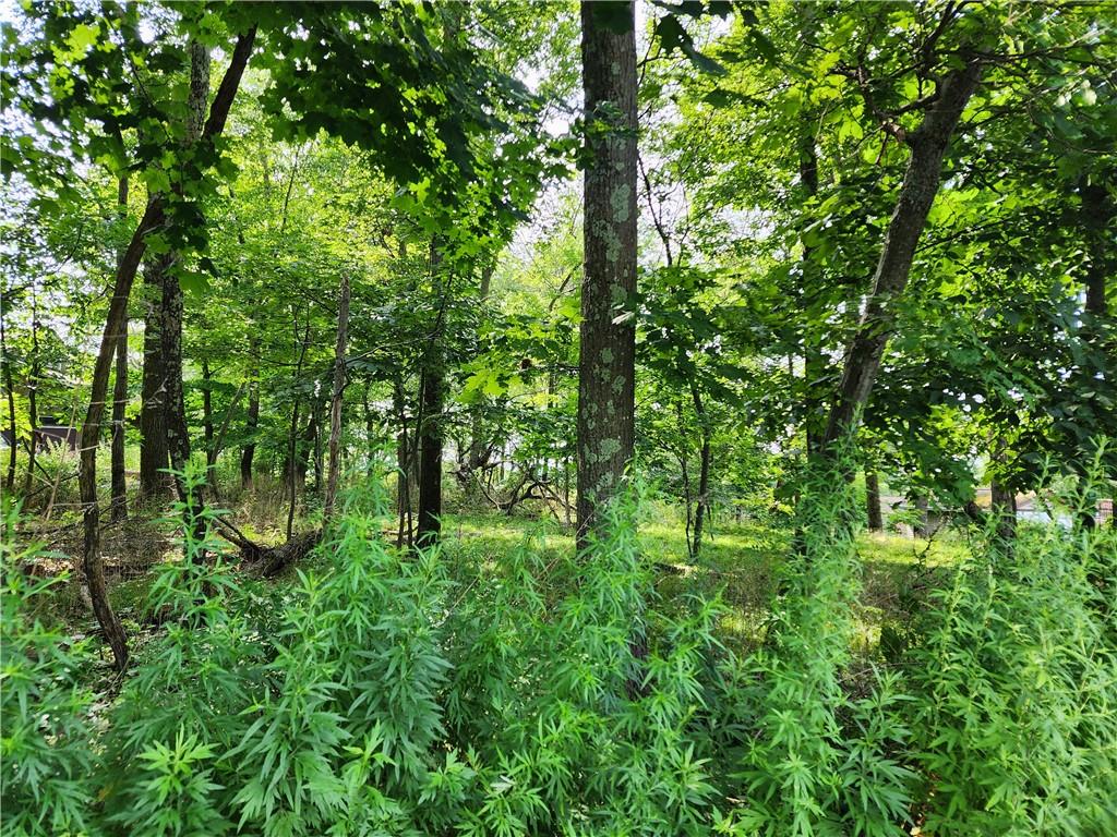 Kentview Drive Property Photo 3