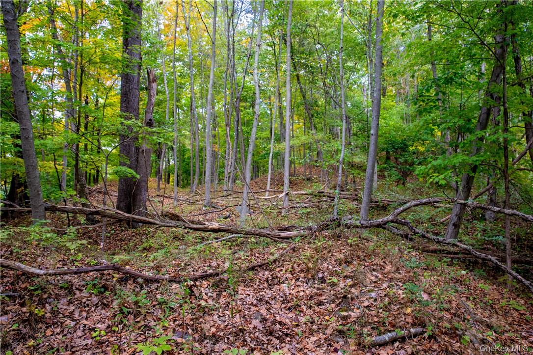 325-361 Old Post Road Property Photo 15