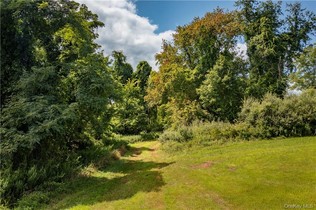 245 Birch Hill Road Property Photo 5