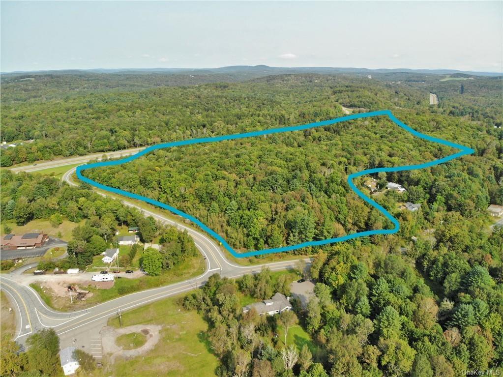 Nys Rt 17 And Old Rt 17 Property Photo 3
