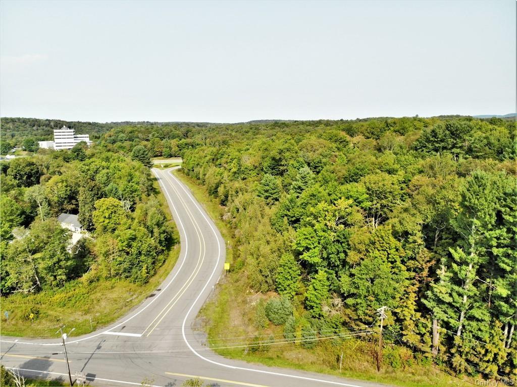 Nys Rt 17 And Old Rt 17 Property Photo 4