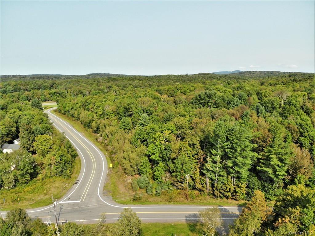 Nys Rt 17 And Old Rt 17 Property Photo 5