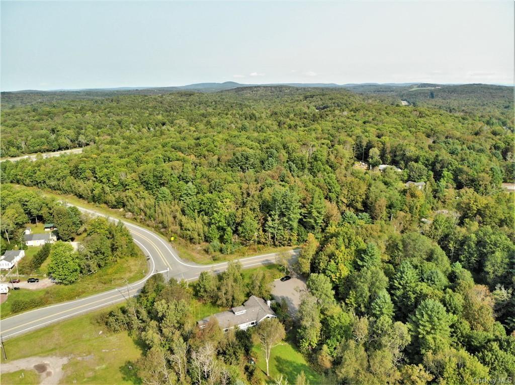 Nys Rt 17 And Old Rt 17 Property Photo 6