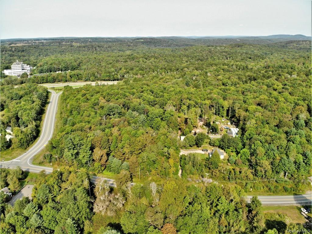 Nys Rt 17 And Old Rt 17 Property Photo 7