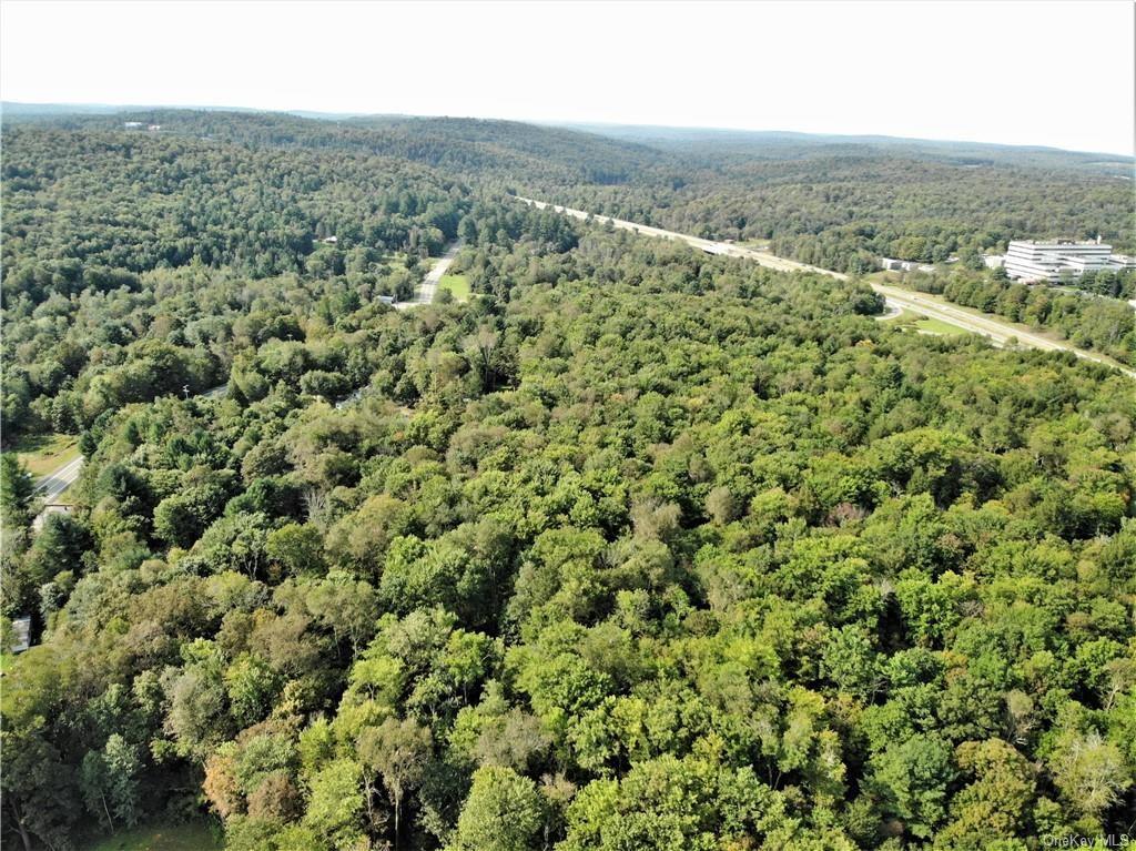 Nys Rt 17 And Old Rt 17 Property Photo 8
