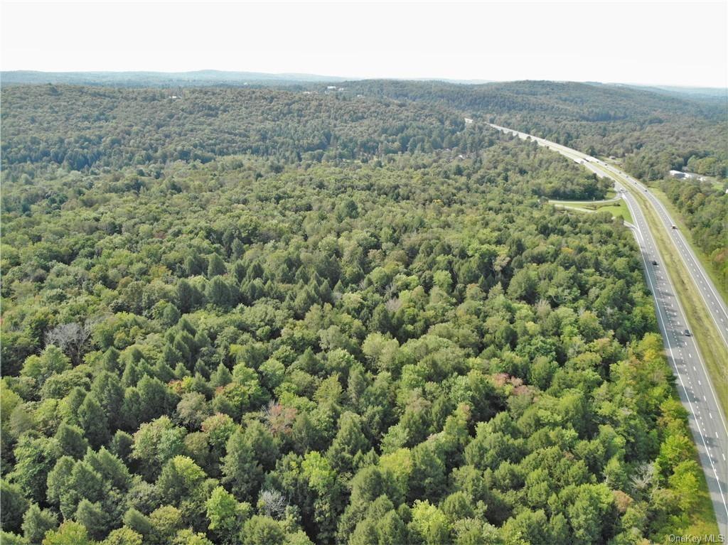 Nys Rt 17 And Old Rt 17 Property Photo 9