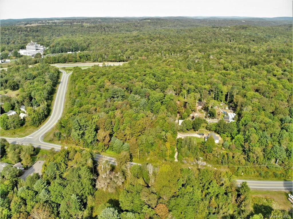 Nys Rt 17 And Old Rt 17 Property Photo 11