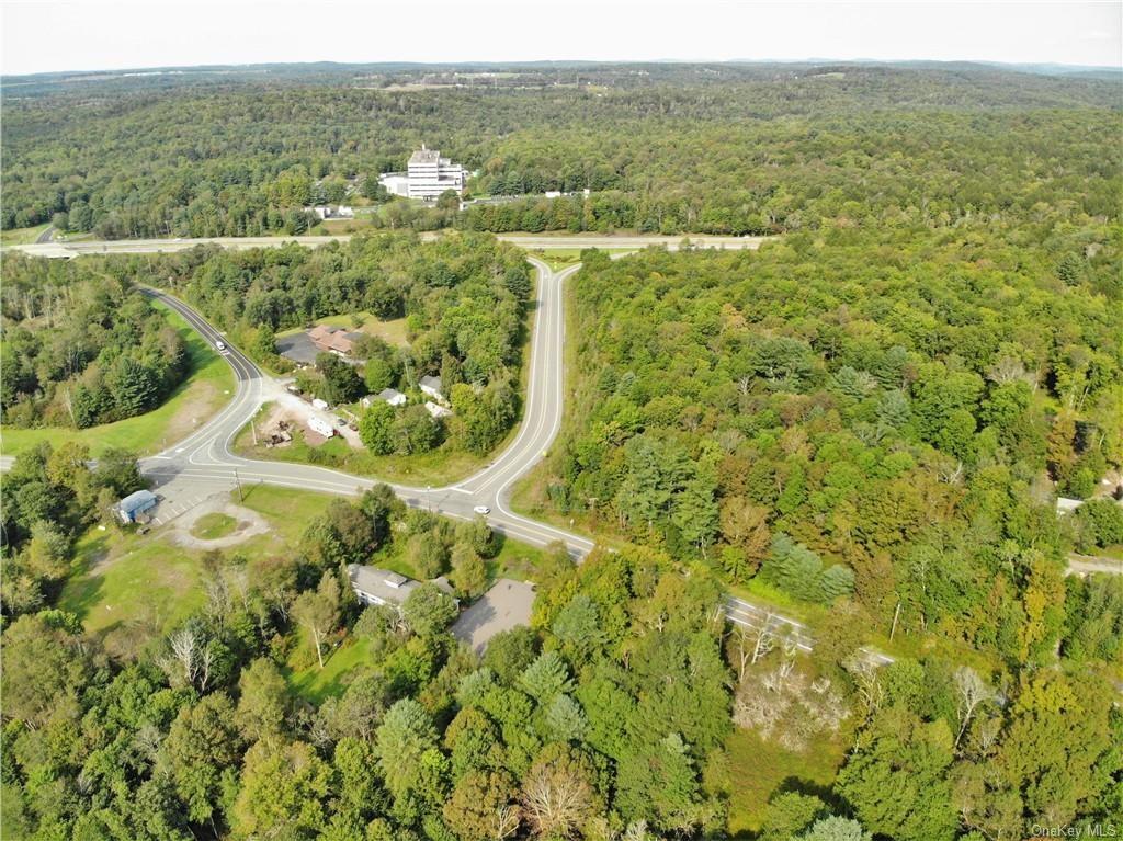 Nys Rt 17 And Old Rt 17 Property Photo 12
