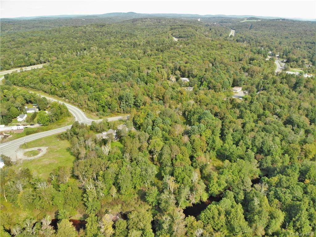 Nys Rt 17 And Old Rt 17 Property Photo 13