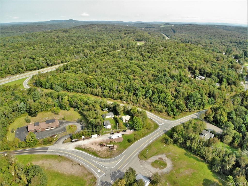 Nys Rt 17 And Old Rt 17 Property Photo 14