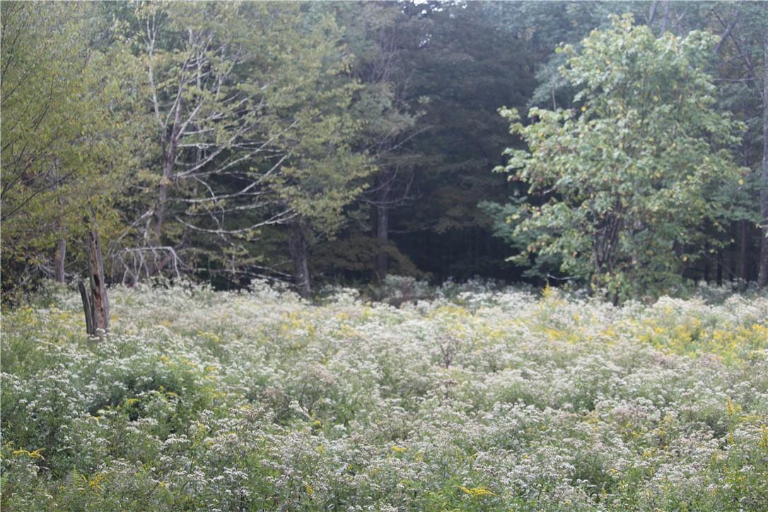 538 Methol (bonnie Brook) Road Property Photo 9