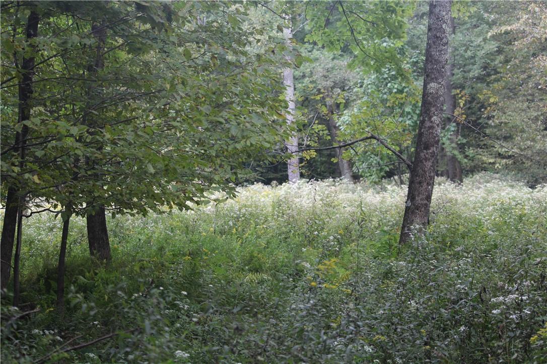 538 Methol (bonnie Brook) Road Property Photo 10