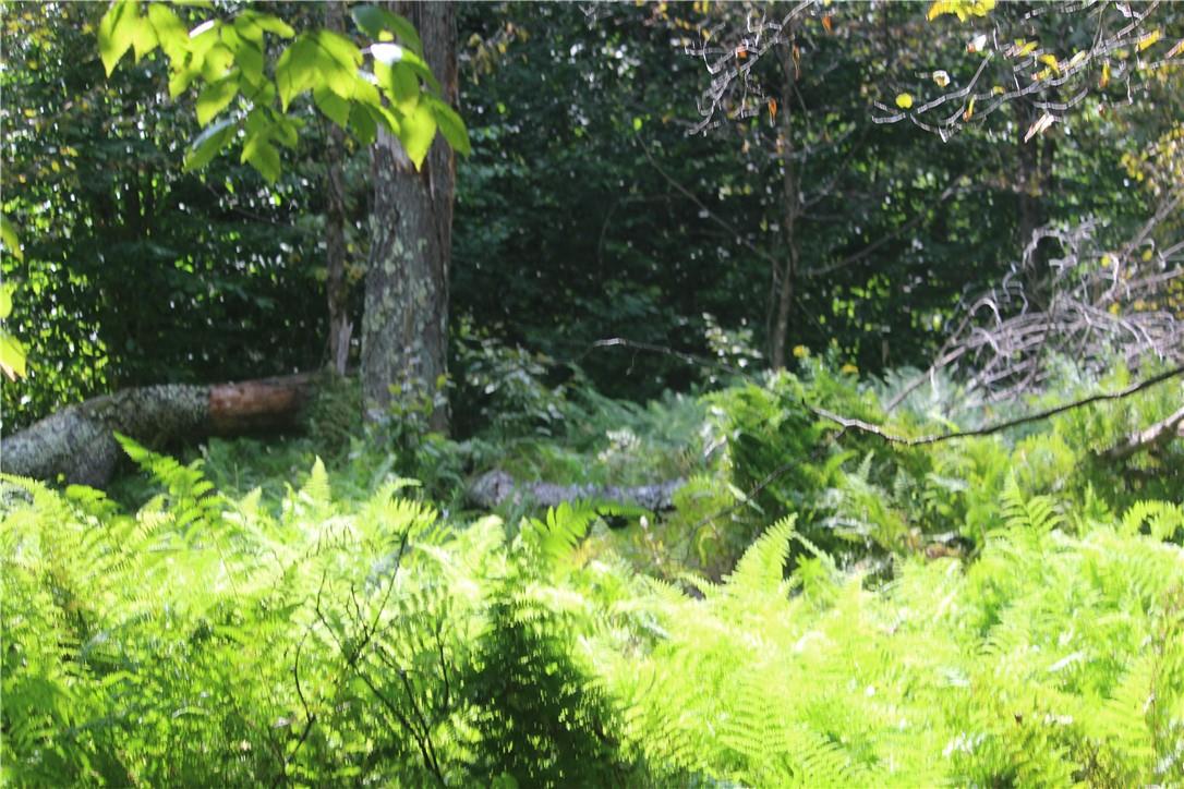 538 Methol (bonnie Brook) Road Property Photo 12