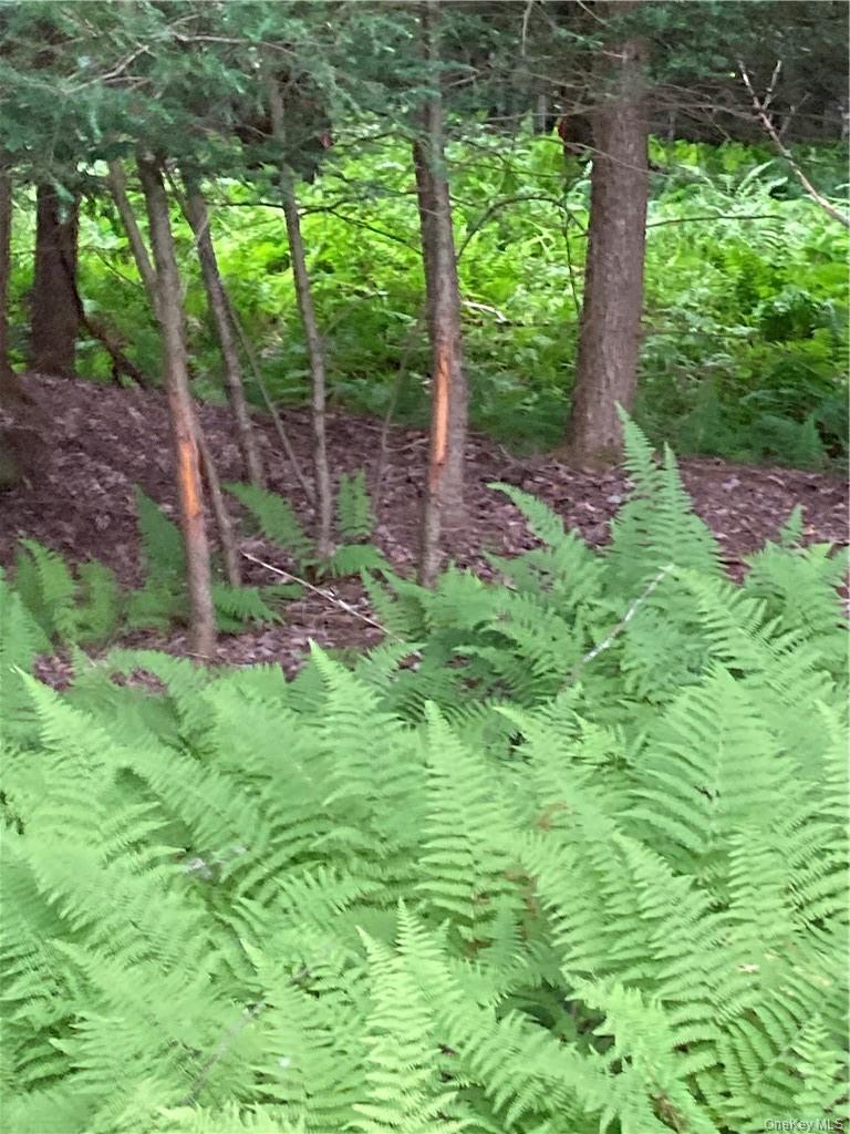 Logtown Road Property Photo 2