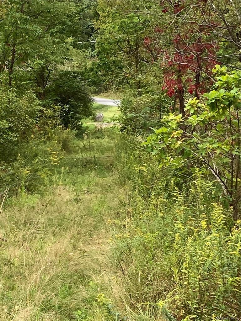 Logtown Road Property Photo 4