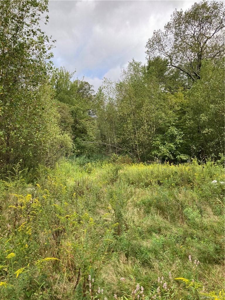 Logtown Road Property Photo 8