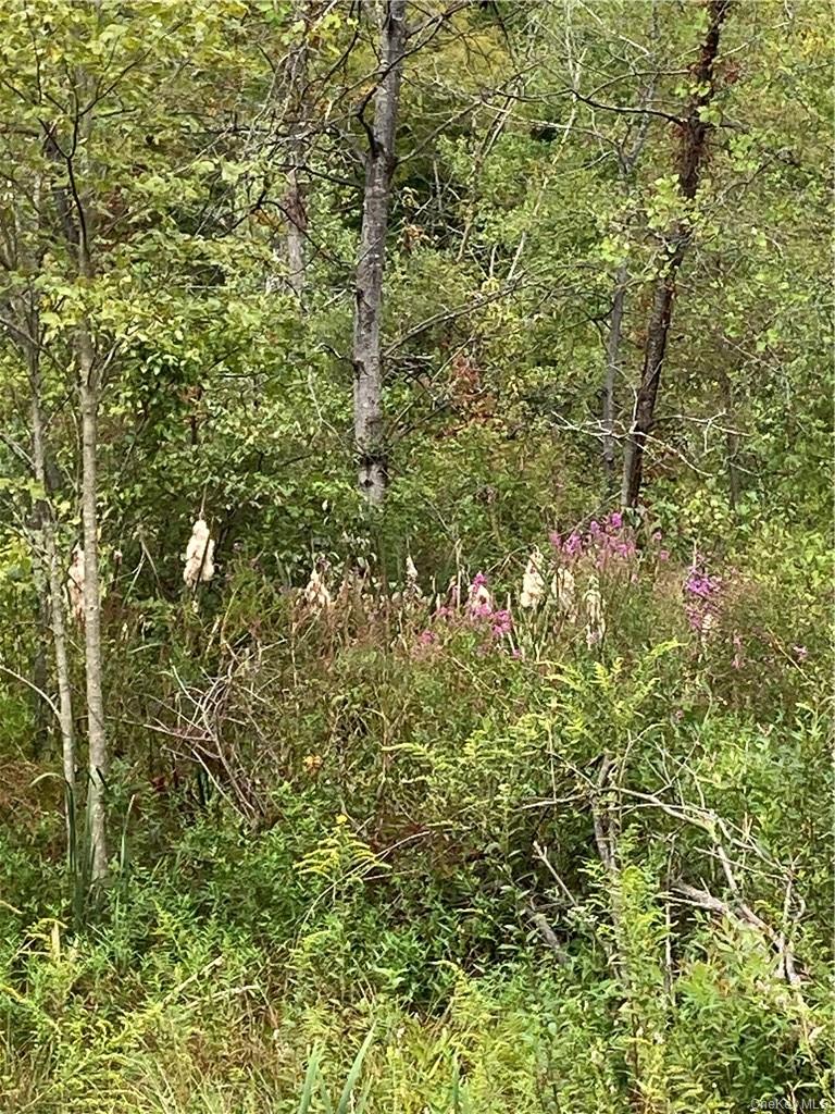 Logtown Road Property Photo 9