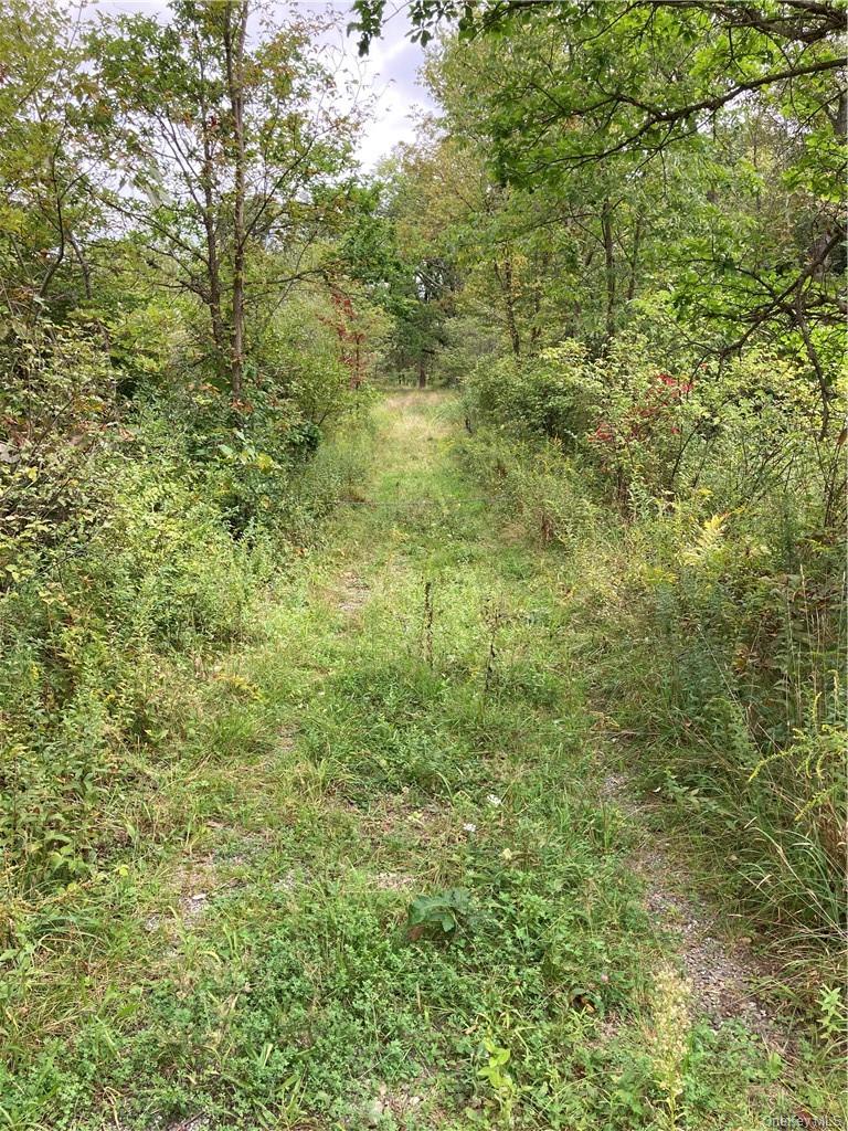 Logtown Road Property Photo 10