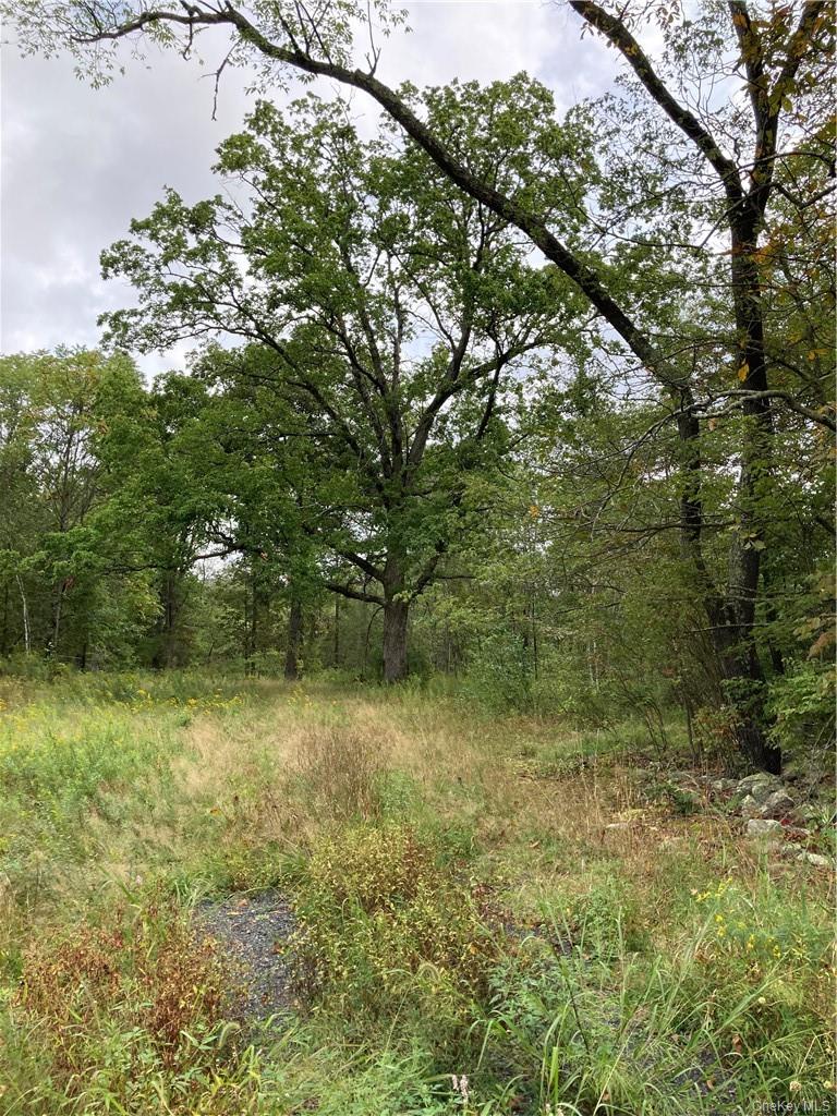 Logtown Road Property Photo 11