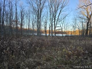 Logtown Road Property Photo 13