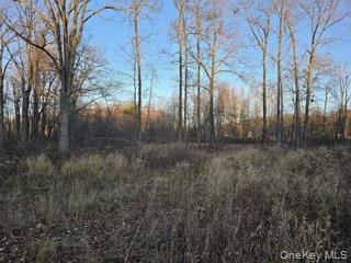 Logtown Road Property Photo 14