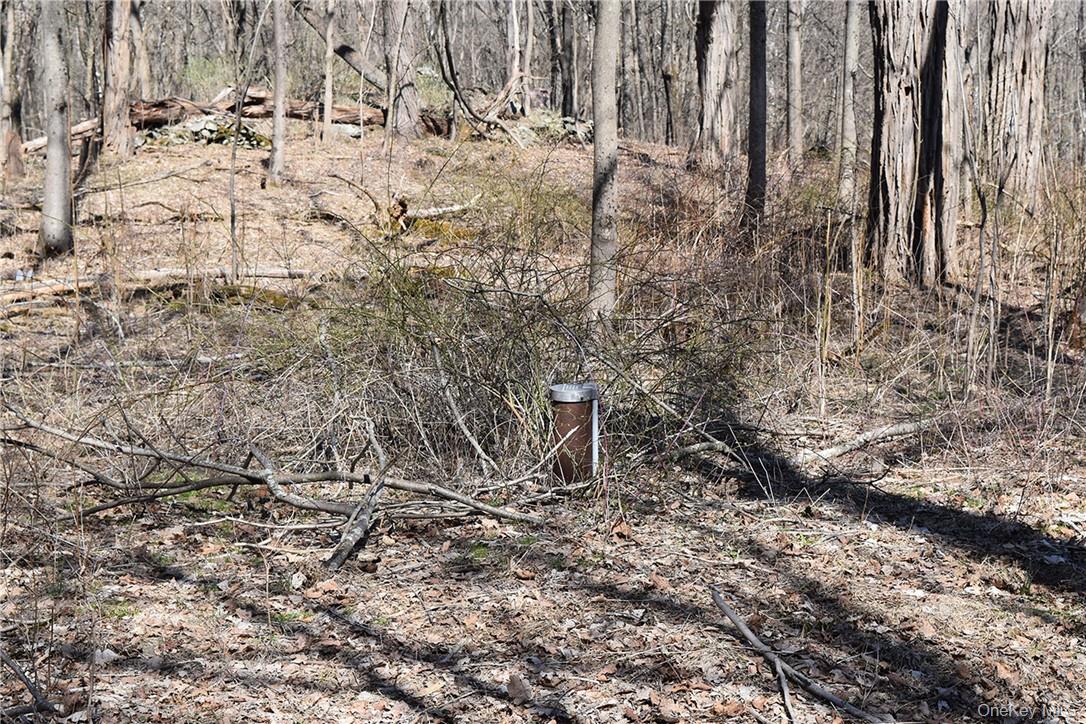 79-85 Miller Road Property Photo 7
