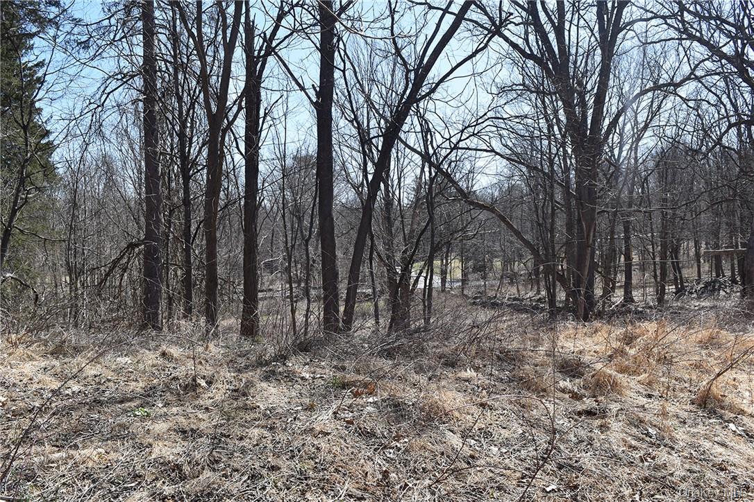 79-85 Miller Road Property Photo 12