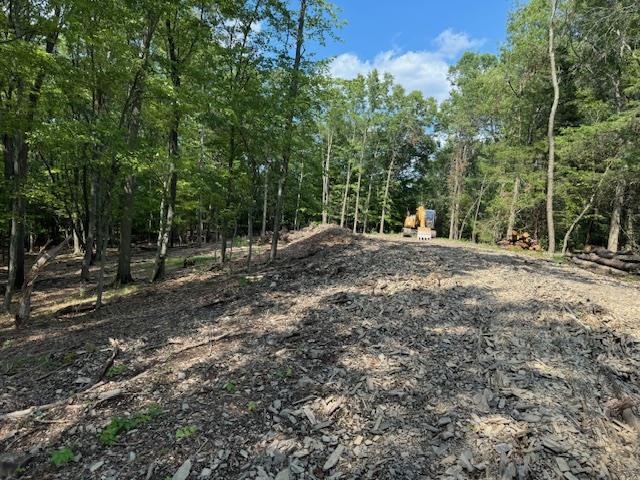 8 Twin Oaks Drive Property Photo 6