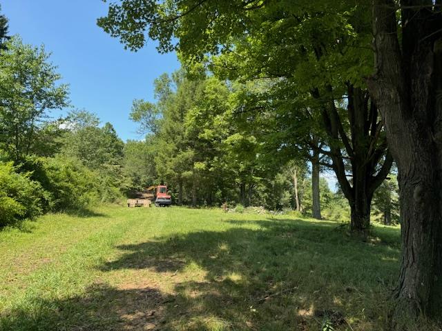 8 Twin Oaks Drive Property Photo 10
