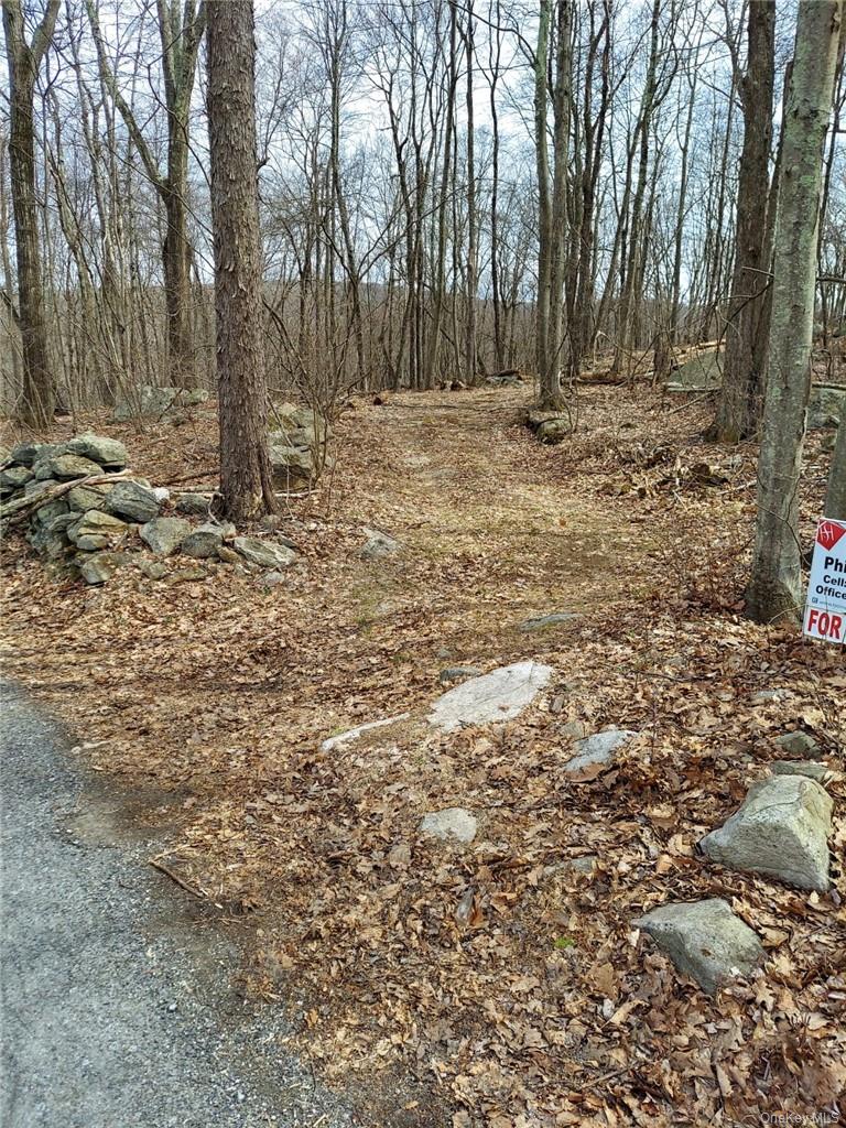 489 Grape Hollow Road Property Photo 3